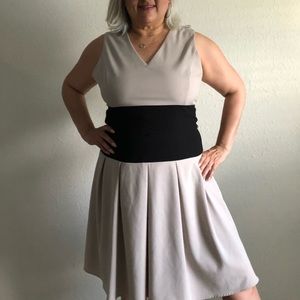 Ellen Tracey Black and Tan dress